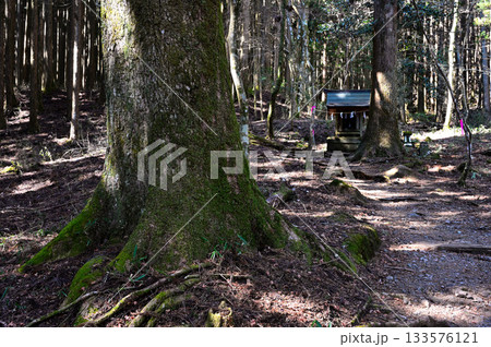 愛鷹山塊の越前岳 山神社の須山愛鷹登山口 愛鷹山塊の越前岳 山神社の須山愛鷹登山口 133576121