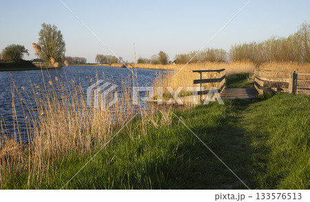 Exploring the scenic clog trail by the serene Eem river in Wolkenberg nature reserve, Baarn, Netherlands 133576513