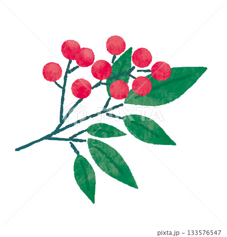 南天の実と葉の水彩風イラスト(縁起の良い赤い実) 南天の実と葉の水彩風イラスト(縁起の良い赤い実) 133576547