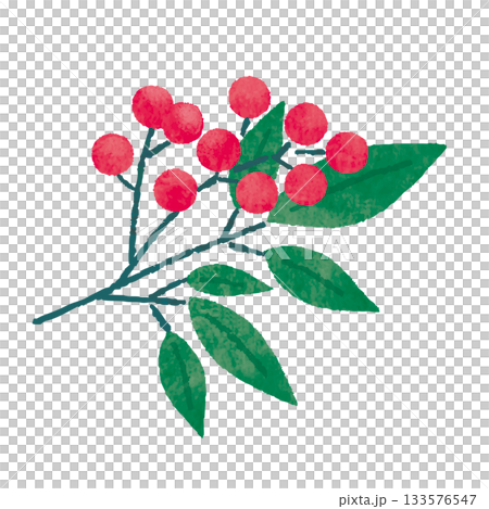 南天の実と葉の水彩風イラスト(縁起の良い赤い実) 南天の実と葉の水彩風イラスト(縁起の良い赤い実) 133576547