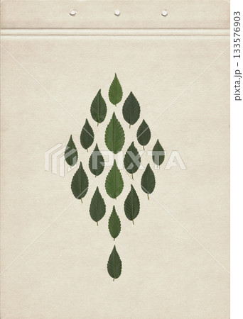 Minimalist natural composition featuring fresh green elm leaves arranged in a tree shape on a soft beige textured paper background, creating a botanical design with an organic handcrafted aesthetic. Minimalist natural composition featuring fresh green elm leaves arranged in a tree shape on a soft beige textured paper background, creating a botanical design with an organic handcrafted aesthetic. 133576903
