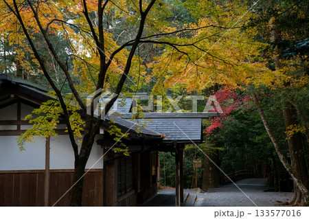 三重県 大紀町 瀧原宮(伊勢神宮 別宮) 三重県 大紀町 瀧原宮(伊勢神宮 別宮) 133577016