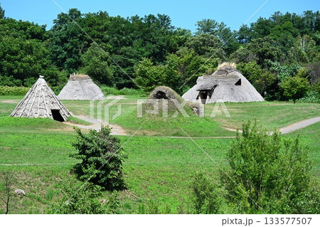 青空に映える三内丸山遺跡の縄文集落（青森県） 133577507