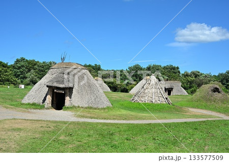 青空に映える三内丸山遺跡の縄文集落（青森県） 133577509