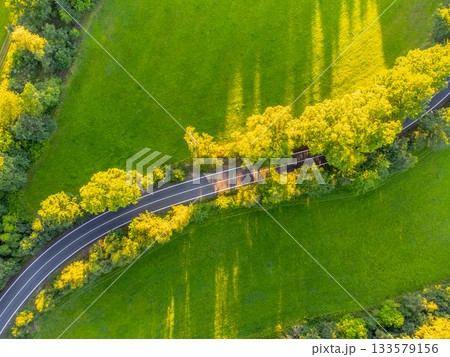 Asphalt road in rural landscape with trees and green meadow. . Aerial view from drone. 133579156