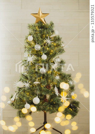 クリスマスツリーのある風景 クリスマスツリーのある風景 133579321