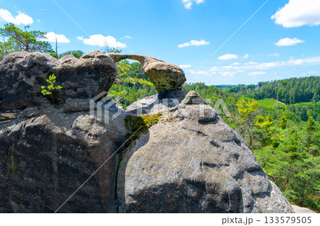 Unique sandstone arch in pine forest on dry sunny summer day. Bohemian Paradise, Czech Republic Unique sandstone arch in pine forest on dry sunny summer day. Bohemian Paradise, Czech Republic 133579505