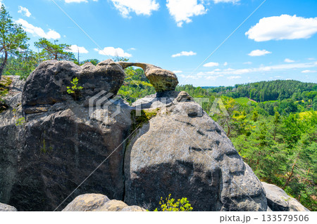 Unique sandstone arch in pine forest on dry sunny summer day. Bohemian Paradise, Czech Republic Unique sandstone arch in pine forest on dry sunny summer day. Bohemian Paradise, Czech Republic 133579506