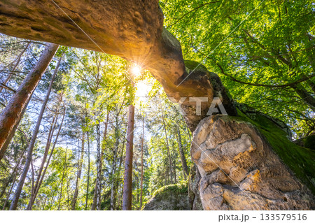 Bottom view of unique sandstone arch in pine forest on dry sunny summer day. Bohemian Paradise, Czech Republic Bottom view of unique sandstone arch in pine forest on dry sunny summer day. Bohemian Paradise, Czech Republic 133579516