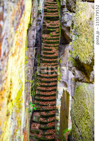 Visitors traverse the long, moss-covered staircase within the historic castle ruins of Sloup v Cechach, surrounded by ancient stone walls and autumn foliage. Visitors traverse the long, moss-covered staircase within the historic castle ruins of Sloup v Cechach, surrounded by ancient stone walls and autumn foliage. 133579552