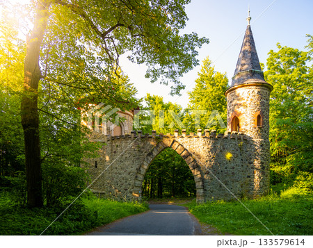 Gothic arc gate over asphalt road in the forest. Arturs Castle near Sychrov, Czech Republic 133579614