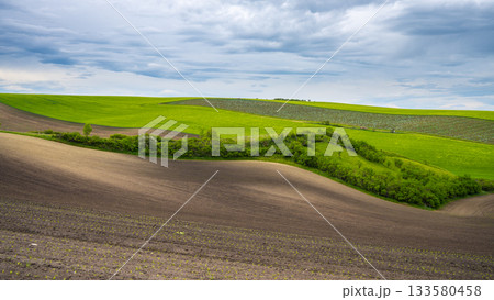 Wavy agricultural field of Moravian Tuscany. Czech Repulbic 133580458