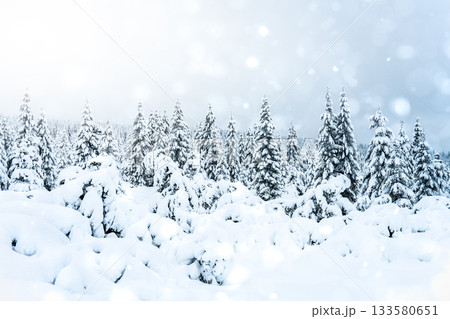 Fairytale winter forest landscape with lot of snow and falling snowflakes. Christmas nordic wonderland illuminated by sunset. Fairytale winter forest landscape with lot of snow and falling snowflakes. Christmas nordic wonderland illuminated by sunset. 133580651