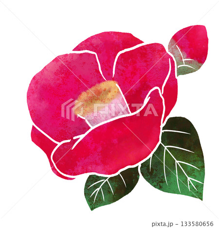 赤い椿の花 133580656