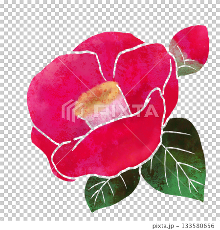 赤い椿の花 133580656