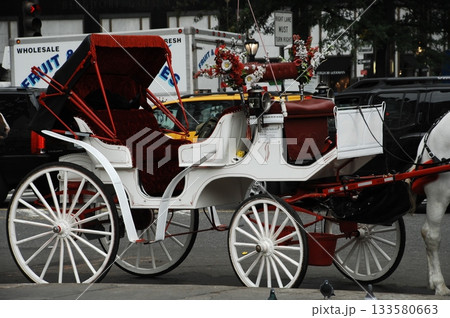 Tourist Horse Coach Carriage 133580663
