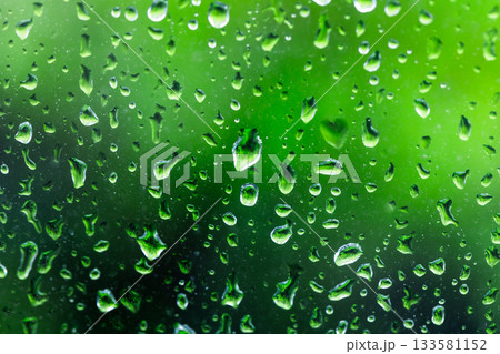Macro shot of water droplets clinging to a vibrant green background Macro shot of water droplets clinging to a vibrant green background 133581152