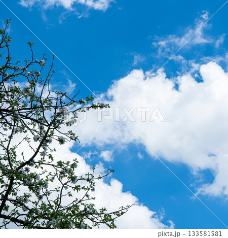 sky is blue and clear with no clouds. The sky is very bright and the sun is shining sky is blue and clear with no clouds. The sky is very bright and the sun is shining 133581581