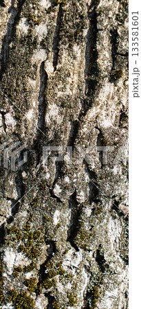 ligneous background, dark brown table surface. rustic wood texture. 133581601