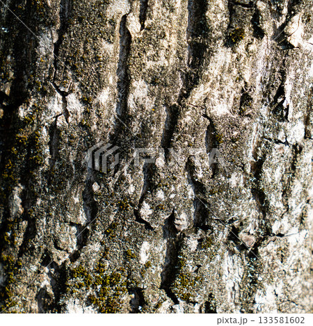 ligneous background, dark brown table surface. rustic wood texture. 133581602