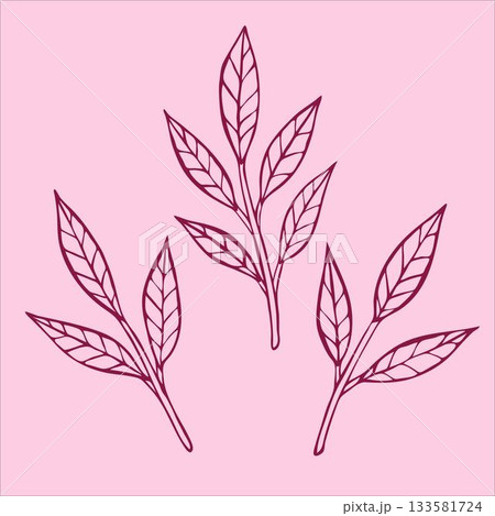 Delicate doodle-style branches with beautiful pink peony leaves, gracefully presented on a soft light pink background. Delicate doodle-style branches with beautiful pink peony leaves, gracefully presented on a soft light pink background. 133581724