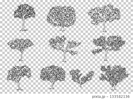 Tree silhouette_6 Tree silhouette_6 133582136