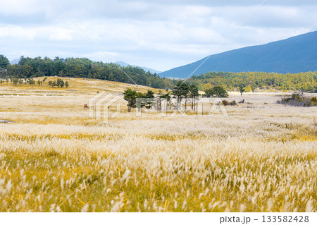 長者原タデ原湿原に広がる秋のススキ草原と山並みの高原風景 133582428