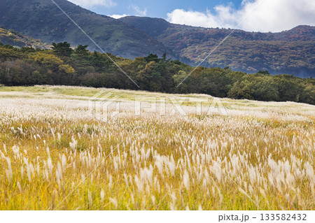 長者原タデ原湿原に広がる秋のススキ草原と山並みの高原風景 133582432