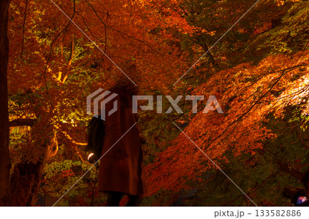 【もみじ回廊の紅葉　河口湖】 133582886