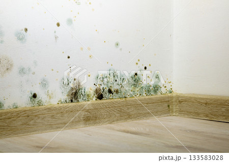 Mould and fungus growth on wall Mould and fungus growth on wall 133583028