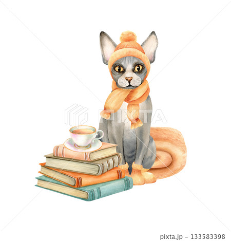 Sphynx cat in knitted hat, scarf, socks sits next to stack of books, cup of tea. Hairless Kitty in warm orange clothes, beige blanket behind. Watercolor isolated illustration, vintage style, clipart 133583398