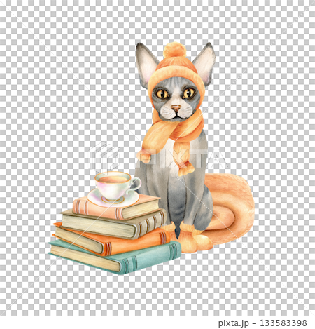Sphynx cat in knitted hat, scarf, socks sits next to stack of books, cup of tea. Hairless Kitty in warm orange clothes, beige blanket behind. Watercolor isolated illustration, vintage style, clipart 133583398