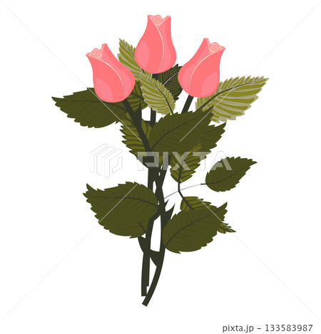 A bouquet of light pink roses with three graceful buds. A huge, lush bouquet of flowers and buds. Vector illustration on a white background. 133583987