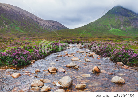 Mountain stream flowing through heather valley on Isle of Skye Scotland UK Mountain stream flowing through heather valley on Isle of Skye Scotland UK 133584404