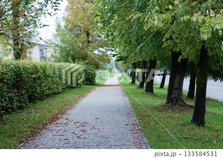 NIK_2550.NEF NIK_2550.NEF 133584531