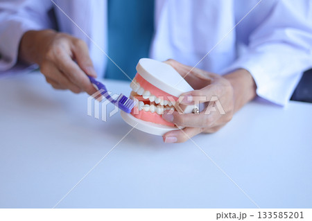 Dentist demonstrates how to brush teeth correctly. 133585201