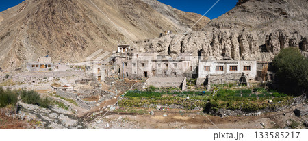 Shingo Village in Hemis National Park, Ladakh Shingo Village in Hemis National Park, Ladakh 133585217