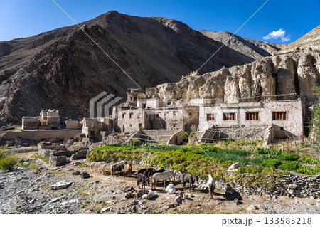 Shingo Village in Hemis National Park, Ladakh 133585218