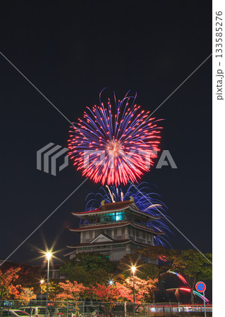 びわ湖秋花火 琵琶湖文化館 133585276