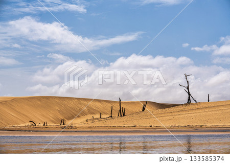 Dunes and lagoons of Vassouras, Lencois Maranhenses, Barreirinhas, Brazil. White sand dunes with pools of fresh water 133585374