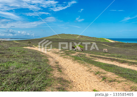 Trail along the coast and beaches from Jericoacoara to Pedra Furada in Ceara State, Brazil. Trail along the coast and beaches from Jericoacoara to Pedra Furada in Ceara State, Brazil. 133585405