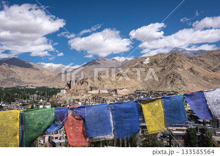 Panoramic View of Leh in Ladakh District 133585564