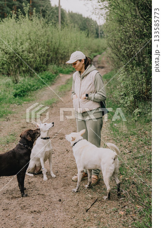 Professional dog walker. woman trains feeds dogs in forest. Dogs of different breeds. Professional dog walker. woman trains feeds dogs in forest. Dogs of different breeds. 133585773