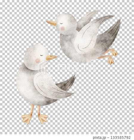 Seagulls, doves, flying seabirds. Hand-drawn watercolor bird illustration in cute, childish style. Character image is isolated from background for design postcards, posters, clothing, nursery stickers 133585792