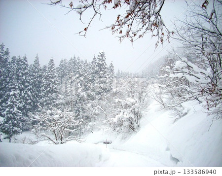 冬の白川郷 16 冬の白川郷 16 133586940