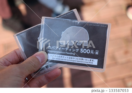 カバ　和歌山　アドベンチャーワールド　餌やり　カバフィーディング 133587053