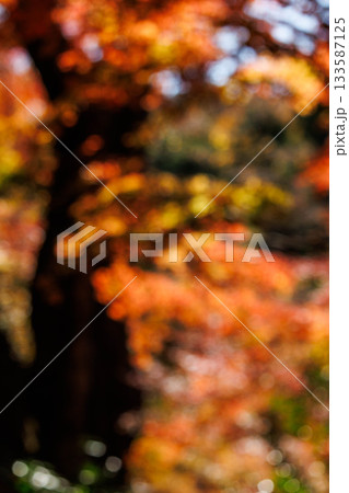 紅葉をイメージしたテクスチャ 133587125