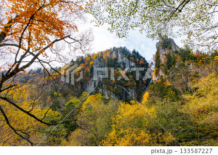 層雲峡の紅葉 133587227