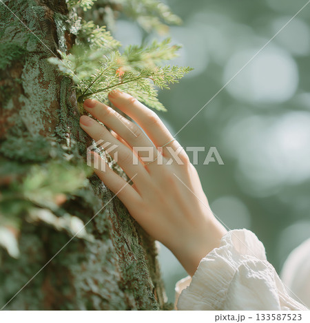 木の枝に手を添える女性の手 木の枝に手を添える女性の手 133587523