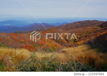 二王子岳山麓の紅葉 133587882